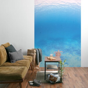 ySiΏۃN[|zzz TCYI[_[ ~[ǎ t[XǎîȂj ČiFǎ  jJiꈢÓj NSO-K00025