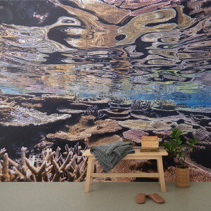 ySiΏۃN[|zzz TCYI[_[ ~[ǎ t[XǎîȂj ČiFǎ  ʂ̃TSi{Ój NSO-K00026