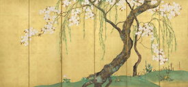 桜 屏風の壁紙 サイズオーダー壁紙 フリース壁紙（のりなし）日本画 酒井抱一 桜楓図屏風（右隻） NSO-N00060