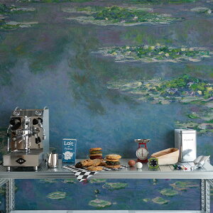 ySiΏۃN[|zzz @̕ǎ TCYI[_[ǎ t[XǎîȂjm l Water Lilies NSO-S00001