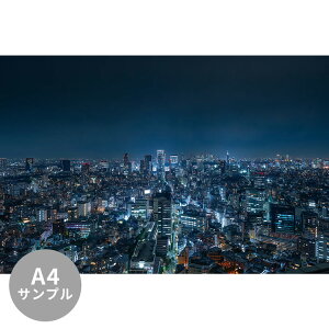 ySiΏۃN[|zzz yTvpzTCYI[_[ ~[ǎ t[XǎîȂjTv iEi NSO-G00037