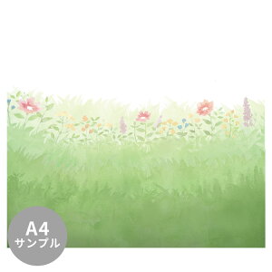 �y3/31�܂ŃZ�[�����z�y�T���v����p�z�T�C�Y�I�[�_�[�ǎ� �t���[�X�ǎ��i�̂�Ȃ��j���ʉ� Flower Field Spring NSO-G00123