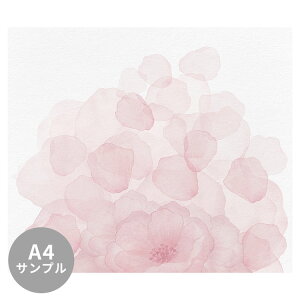 yTvpzTCYI[_[ǎ t[XǎîȂjʉ Windflower Blossom NSO-G00143