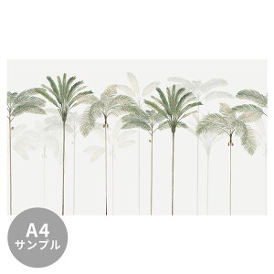 �y6��30���܂�50%OFF�z�y�T���v����p�z�V�[���^�C�v �~���[�����ǎ� �T�C�Y�I�[�_�[ Palm Island Green TSO-G00225