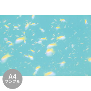 ySiΏۃN[|zzz yTvpzTCYI[_[ ~[ǎ t[XǎîȂjTv ČiFǎ  GoXAeBAXifBuj NSO-K00010