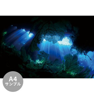 ySiΏۃN[|zzz yTvpzTCYI[_[ ~[ǎ t[XǎîȂjTv ČiFǎ  k[xo[Ǒit[j[JhjA