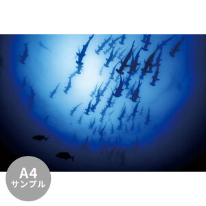 ySiΏۃN[|zzz yTvpzTCYI[_[ ~[ǎ t[XǎîȂjTv ČiFǎ  n}[wbhV[NiRRRX^Jj NSO