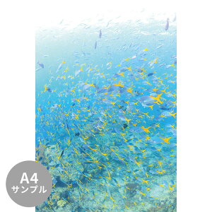 ySiΏۃN[|zzz yTvpzTCYI[_[ ~[ǎ t[XǎîȂjTv ČiFǎ  jZECČQjiWApbgj NSO-K0