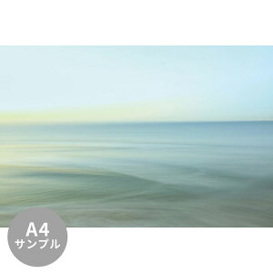 ySiΏۃN[|zzz yTvpzTCYI[_[ ~[ǎ t[XǎîȂjTv ČiFǎ  ̐ʁiqlj NSO-K00017