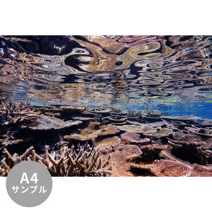 ySiΏۃN[|zzz yTvpzTCYI[_[ ~[ǎ t[XǎîȂjTv ČiFǎ  ʂ̃TSi{Ój NSO-K00026