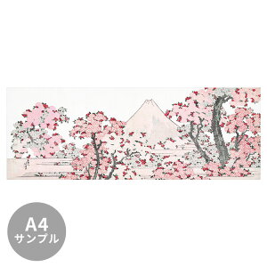 yTvpzTCYI[_[ǎ t[XǎîȂjG k Ԃɕxm}iN₩j NSO-M00009