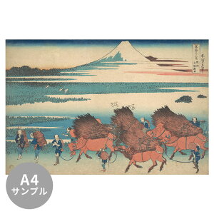 ySiΏۃN[|zzz yTvpzTCYI[_[ǎ t[XǎîȂjTv { k xԎO\Zi xBVc NSO-N00045 Tv