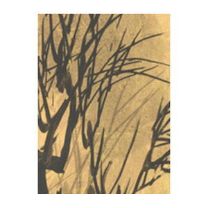 ySiΏۃN[|zzz yTvpzTCYI[_[ǎ t[XǎîȂjTv { Vb Rl}iEǁj NSO-N00073 Tv