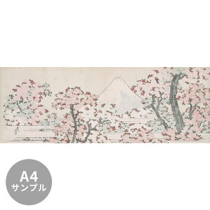 ySiΏۃN[|zzz yTvpzTCYI[_[ǎ t[XǎîȂjTv { k Ԃɕxm} NSO-N00092 Tv