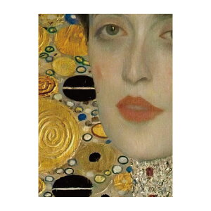 【全品対象クーポン配布中】 【サンプル専用】サイズオーダー壁紙 フリース壁紙(のりなし)サンプル 西洋画 クリムト Portrait of Adele Bloch-Bauer I NSO-S00016 サンプル
