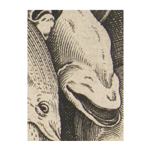 【全品対象クーポン配布中】 【サンプル専用】サイズオーダー壁紙 フリース壁紙(のりなし)サンプル 西洋画 ピーテル・ブリューゲル(父) Big Fish Eat Little Fish NSO-S00041 サンプル