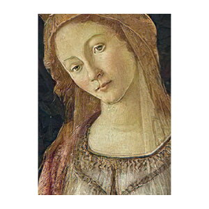 ySiΏۃN[|zzz yTvpzTCYI[_[ǎ t[XǎîȂjTv m {beB`Fb Spring NSO-S00046 Tv