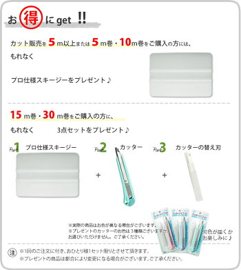 リメイクシート限定プレゼント