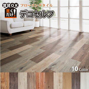 y1P[Xi10jzfRZt ȒPut[O^C ڒܕsvIyOKIEɋI