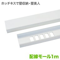 ホチキスで壁掛け収納 配線隠し モール 1m 壁美人