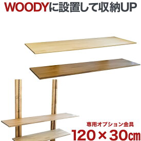 テレビ 壁掛け 金具 賃貸 壁掛金具 壁掛けテレビ 送料無料 WOODY専用 棚板 wdy-cshelf-12030