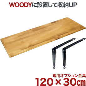 テレビ 壁掛け 金具 賃貸 壁掛金具 壁掛けテレビ 送料無料 WOODY専用 棚板 オプション金具 WDY-R12