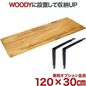 er Ǌ|   Ǌ| Ǌ|er  WOODYp I IvV WDY-R12