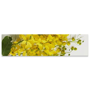 A[gpl ChTCY widesize  G G  1200mmx300mm tHg Ǌ| ؘg CeA  A[g ԁ@ʐ^@023077