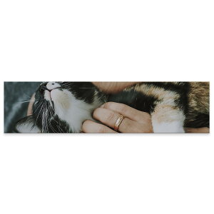 A[gpl ChTCY widesize  G G  1200mmx300mm tHg Ǌ| ؘg CeA  A[g L@˂@@ʐ^@@023085