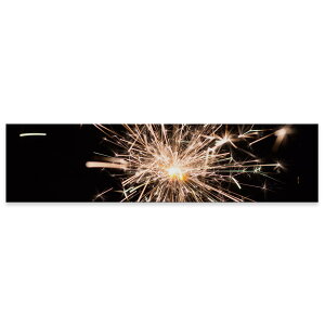 �A�[�g�p�l�� ���C�h�T�C�Y widesize ���� �G �G�� ���� 1200mmx300mm �t�H�g �Ǌ|�� �ؘg �C���e���A ������� �A�[�g �ԉ΁@�ʐ^�@023100