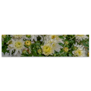 �A�[�g�p�l�� ���C�h�T�C�Y widesize ���� �G �G�� ���� 1200mmx300mm �t�H�g �Ǌ|�� �ؘg �C���e���A ������� �A�[�g �ԁ@�ʐ^�@023116