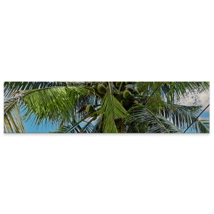 A[gpl ChTCY widesize  G G  1200mmx300mm tHg Ǌ| ؘg CeA  A[g V̖؁@ā@R@023141