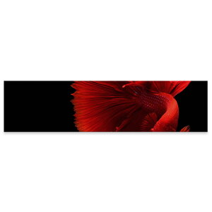 A[gpl ChTCY widesize  G G  1200mmx300mm tHg Ǌ| ؘg CeA  A[g @ʐ^@023154