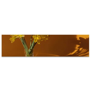 A[gpl ChTCY widesize  G G  1200mmx300mm tHg Ǌ| ؘg CeA  A[g ԁ@ʐ^@t[@023183