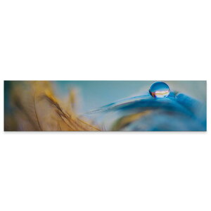 A[gpl ChTCY widesize  G G  1200mmx300mm tHg Ǌ| ؘg CeA  A[g H@tFU[@ʐ^@023239