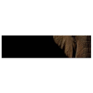 A[gpl ChTCY widesize  G G  1200mmx300mm tHg Ǌ| ؘg CeA  A[g ]E@@Aj}@023247