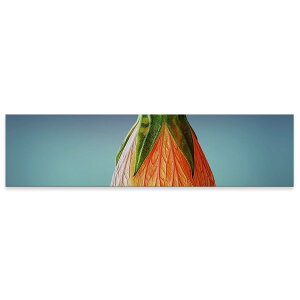 A[gpl ChTCY widesize  G G  1200mmx300mm tHg Ǌ| ؘg CeA  A[g ԁ@t[@@023293