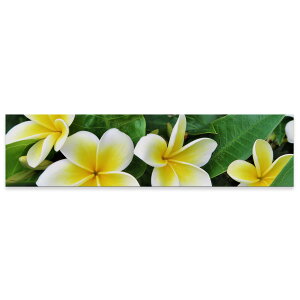 A[gpl ChTCY widesize  G G  1200mmx300mm tHg Ǌ| ؘg CeA  A[g ԁ@t[@vA@023320