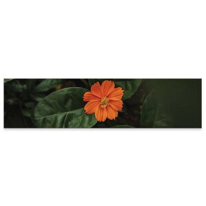 A[gpl ChTCY widesize  G G  1200mmx300mm tHg Ǌ| ؘg CeA  A[g ԁ@t[@tρ@023326