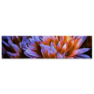 A[gpl ChTCY widesize  G G  1200mmx300mm tHg Ǌ| ؘg CeA  A[g ԁ@t[@ʐ^@023332