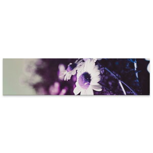 A[gpl ChTCY widesize  G G  1200mmx300mm tHg Ǌ| ؘg CeA  A[g ԁ@t[@ʐ^@023335