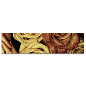 A[gpl ChTCY widesize  G G  1200mmx300mm tHg Ǌ| ؘg CeA  A[g ԁ@t[@KN@ʐ^@023338