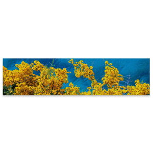 A[gpl ChTCY widesize  G G  1200mmx300mm tHg Ǌ| ؘg CeA  A[g ԁ@t[@C@023354