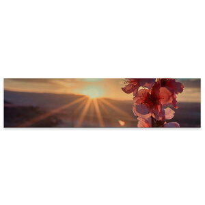 A[gpl ChTCY widesize  G G  1200mmx300mm tHg Ǌ| ؘg CeA  A[g ԁ@t[@iF@ʐ^@023363