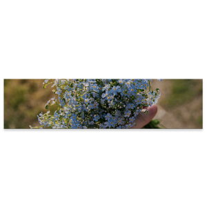 A[gpl ChTCY widesize  G G  1200mmx300mm tHg Ǌ| ؘg CeA  A[g ԁ@t[@ʐ^@023373