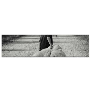 A[gpl ChTCY widesize  G G  1200mmx300mm tHg Ǌ| ؘg CeA  A[g q@ʐ^@mN@023389
