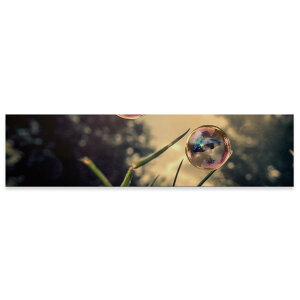 A[gpl ChTCY widesize  G G  1200mmx300mm tHg Ǌ| ؘg CeA  A[g ڂʁ@iF@023404