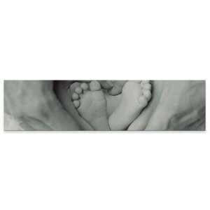 A[gpl ChTCY widesize  G G  1200mmx300mm tHg Ǌ| ؘg CeA  A[g Ԃ@ʐ^@mN@023460
