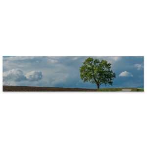 アートパネル ワイドサイズ widesize 横長 絵 絵画 飾り 1200mmx300mm フォト 壁掛け 木枠 インテリア おしゃれ アート 景色 自然 写真 023492