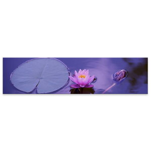 A[gpl ChTCY widesize  G G  1200mmx300mm tHg Ǌ| ؘg CeA  A[g ԁ@t[@@̉ԁ@023533